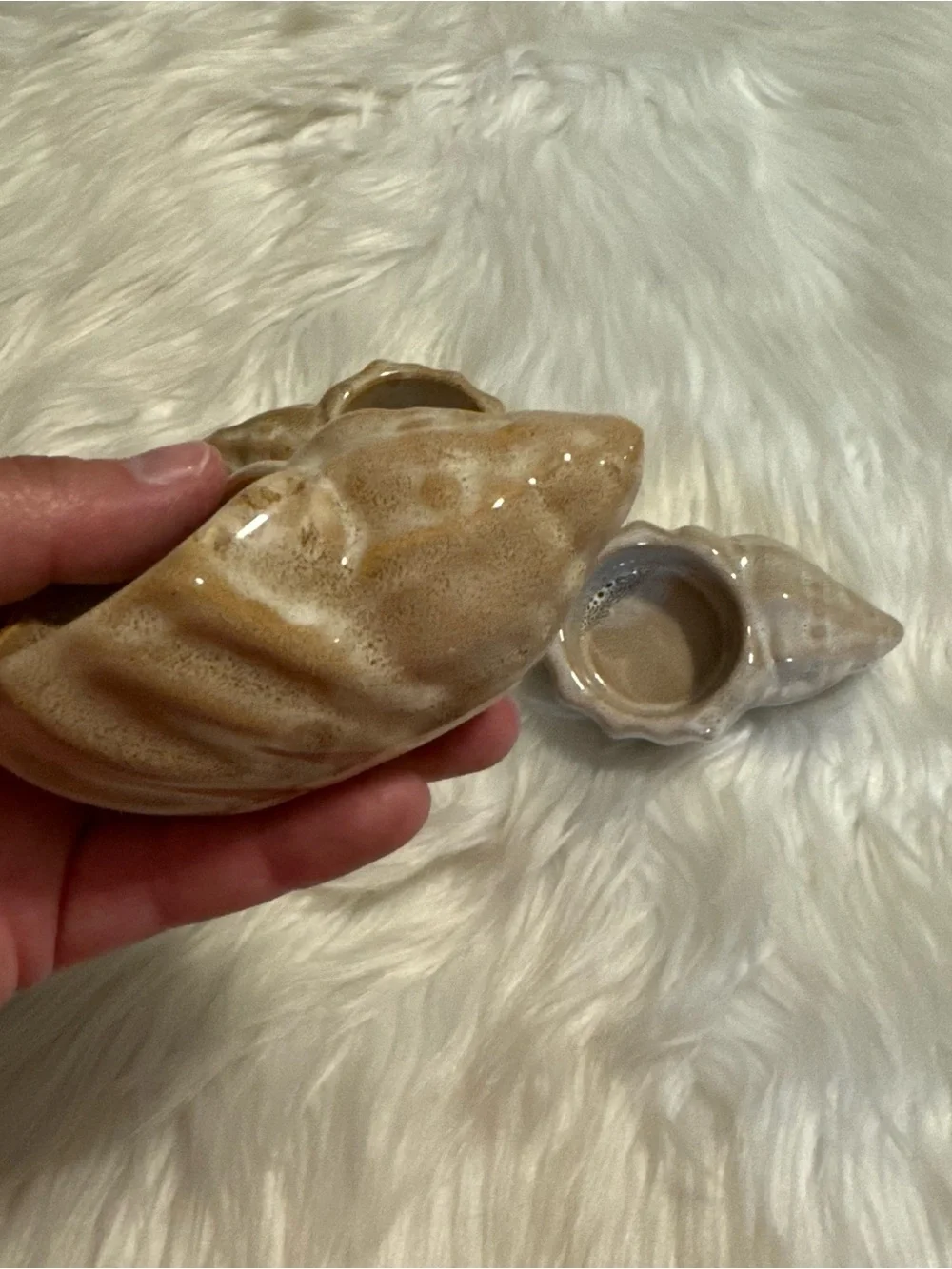 N/A trio seashell